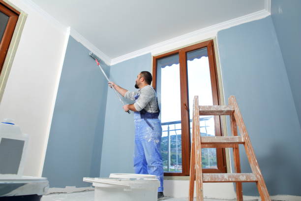 Best Drywall Removal and Disposal  in Norwalk, CT